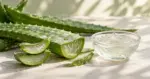 Friske aloe vera-blader med vanndråper og oppskårne biter med gjennomsiktig gel ved siden av en glasskål med klar aloe vera-gel.