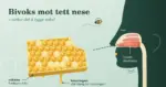 Illustrasjon av en bitt bit bivokskake med honning som drypper ned, ved siden av en stilisert profil i tverrsnitt der en hoven slimhinne stenger luftstrømmen inn gjennom nesen, mens en bie flyr mellom dem.