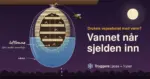 Illustrasjon av et oppskåret vepsebol i en vannfylt plastpose om natten, der en luftlomme holder kammene og de sovende vepsene tørre under vannlinja mens en våt veps slipper ut ved knuten, med teksten «Vannet når sjelden inn» og «Tryggere: pose + fryser».