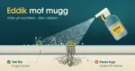 Illustrasjon av en sprayflaske med eddik som spruter over mugg på fliser vist i tverrsnitt, der muggen løsner fra den tette flisa mens røttene blir sittende dypt i den porøse fugen, med teksten «Eddik mot mugg» og «Virker på overflaten – ikke i dybden».