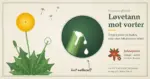 Botanisk illustrasjon av en løvetannplante der et forstørrelsesglass viser hvit melkesaft som drypper fra en avbrukket stilk, ved siden av teksten «Løvetann mot vorter», en julestjerne merket med advarsel og en merknad om at ca. 95 % av vorter forsvinner av seg selv.