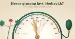 Illustrasjon av en blodtrykksmåler der viseren er en ginsengrot som blir stående i det blå området for lavt blodtrykk, mens et stiplet rødt omriss av roten og et spørsmålstegn viser den høyere verdien kjerringrådet lover, med teksten «Hever ginseng lavt blodtrykk?».