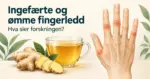 Illustrasjon av ingefærte, fersk ingefær og en hånd med markerte fingerledd, med teksten «Ingefærte og ømme fingerledd – Hva sier forskningen?».