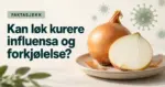 En hel og en halv løk på et fat med stiliserte virus i bakgrunnen og teksten «Faktasjekk: Kan løk kurere influensa og forkjølelse?».
