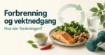 Illustrasjon med teksten «Forbrenning og vektnedgang – Hva sier forskningen?», en tallerken med laks, grønnsaker og belgfrukter, en manual, et glass vann, grønn te og chili.