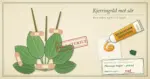 Illustrasjon i herbariestil av en presset grobladplante festet til arket med plaster og stemplet «IKKE STERILT», ved siden av en tube merket «Medisinsk honning» som klemmes ut på en steril kompress og en herbarieetikett med teksten «Dokumentasjon: svak».