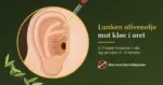 Illustrasjon av et øre i nærbilde der en pipette drypper lunken, gyllen olivenolje ned i øregangen, med små røde streker som viser kløe, en olivengren i hjørnet og teksten «Lunken olivenolje mot kløe i øret».