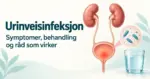 Illustrasjon av nyrer, urinledere og urinblære med bakterier i et forstørret utsnitt og et glass vann ved siden av teksten «Urinveisinfeksjon – symptomer, behandling og råd som virker».