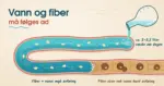 Illustrasjon av en buktende tarmlignende kanal der vann helles fra en karaffel og får havreflak og frø til å flyte lett, mens den tørre, sprukne delen lenger fremme har harde klumper, med teksten «Vann og fiber må følges ad».